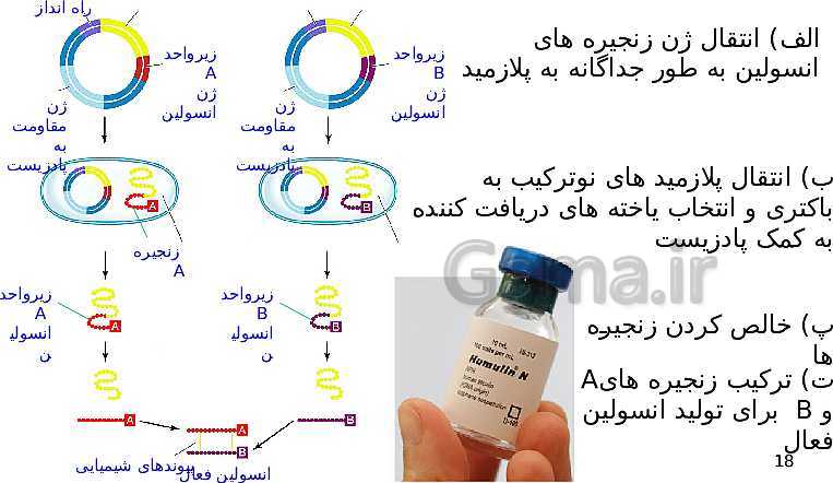 پاورپوینت گفتار 3 از فصل هفتم زیست شناسی دوازدهم تجربی | کاربردهای زیست فناوری- پیش نمایش