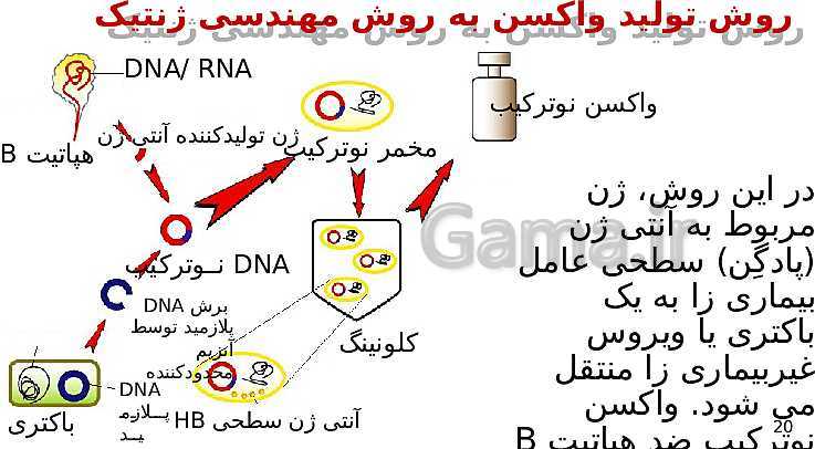 پاورپوینت گفتار 3 از فصل هفتم زیست شناسی دوازدهم تجربی | کاربردهای زیست فناوری- پیش نمایش