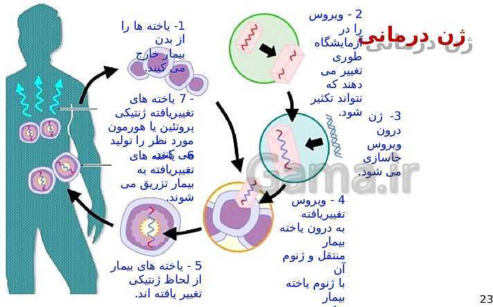 پاورپوینت گفتار 3 از فصل هفتم زیست شناسی دوازدهم تجربی | کاربردهای زیست فناوری- پیش نمایش