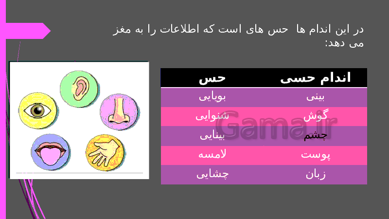 پاورپوینت علوم تجربی پنجم دبستان | درس 6: چه خبر؟ (1)- پیش نمایش