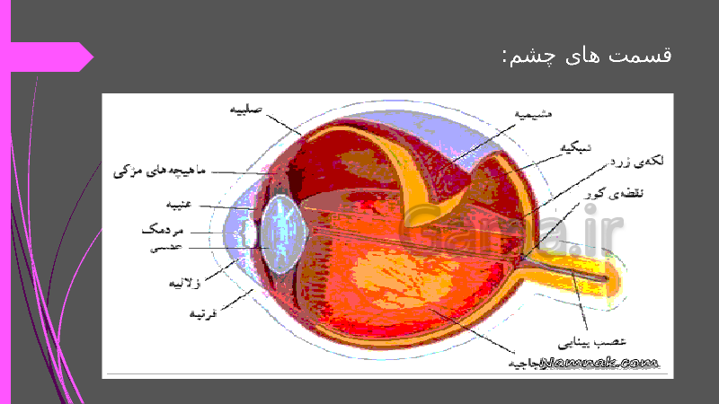 پاورپوینت علوم تجربی پنجم دبستان | درس 6: چه خبر؟ (1)- پیش نمایش