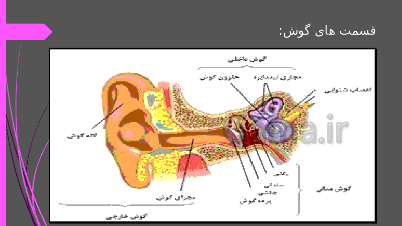 پاورپوینت علوم تجربی پنجم دبستان | درس 6: چه خبر؟ (1)- پیش نمایش