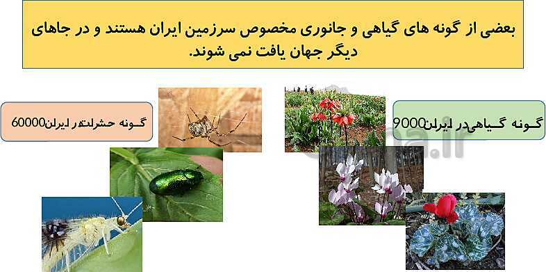 تدریس مجازی درس 12: حفاظت از زیستگاه‌های ایران- پیش نمایش