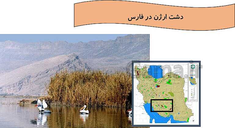 تدریس مجازی درس 12: حفاظت از زیستگاه‌های ایران- پیش نمایش