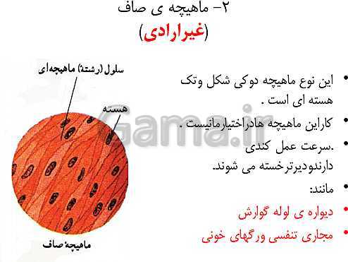 پاورپوینت علوم تجربی پنجم دبستان | درس 5: حرکت بدن- پیش نمایش