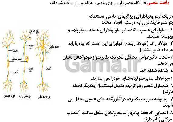 پاورپوینت علوم تجربی پنجم دبستان | درس 5: حرکت بدن- پیش نمایش