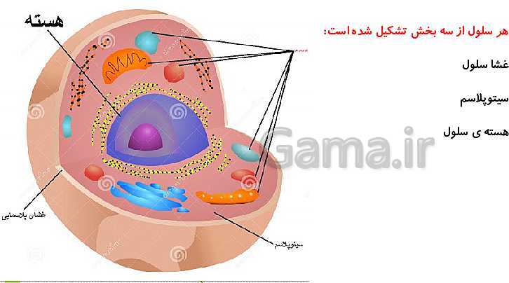 پاورپوینت علوم تجربی ششم دبستان | درس 10: خیلی کوچک، خیلی بزرگ- پیش نمایش