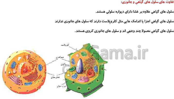 پاورپوینت علوم تجربی ششم دبستان | درس 10: خیلی کوچک، خیلی بزرگ- پیش نمایش