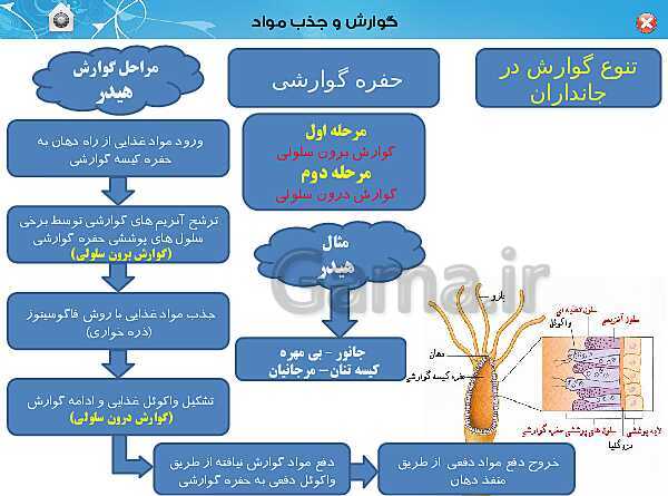 پاورپوینت تدریس زیست شناسی (1) دهم تجربی | فصل 2: گوارش و جذب مواد (گفتار 3)- پیش نمایش