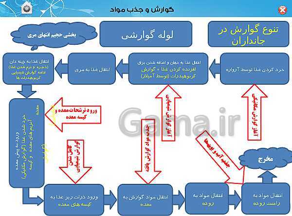 پاورپوینت تدریس زیست شناسی (1) دهم تجربی | فصل 2: گوارش و جذب مواد (گفتار 3)- پیش نمایش