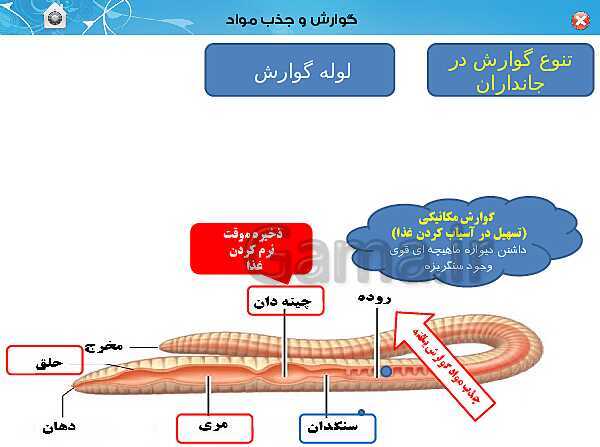 پاورپوینت تدریس زیست شناسی (1) دهم تجربی | فصل 2: گوارش و جذب مواد (گفتار 3)- پیش نمایش