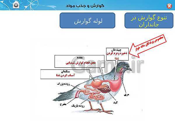 پاورپوینت تدریس زیست شناسی (1) دهم تجربی | فصل 2: گوارش و جذب مواد (گفتار 3)- پیش نمایش