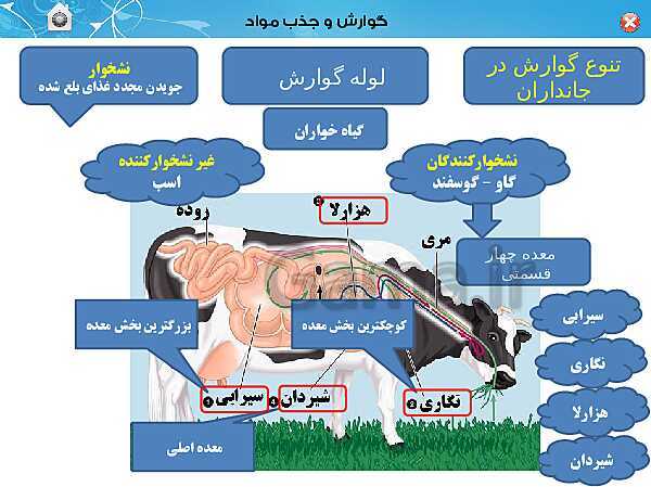 پاورپوینت تدریس زیست شناسی (1) دهم تجربی | فصل 2: گوارش و جذب مواد (گفتار 3)- پیش نمایش