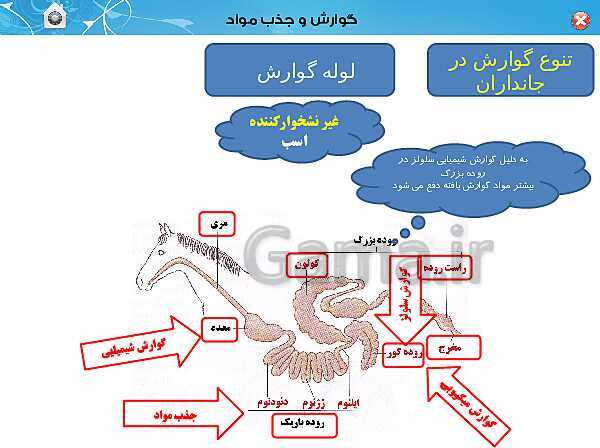 پاورپوینت تدریس زیست شناسی (1) دهم تجربی | فصل 2: گوارش و جذب مواد (گفتار 3)- پیش نمایش