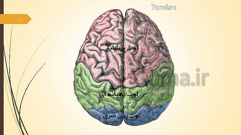 پاورپوینت آموزش مجازی روانشناسی یازدهم رشته انسانی | درس 1: روان شناسی (تعریف و روش مورد مطالعه)- پیش نمایش