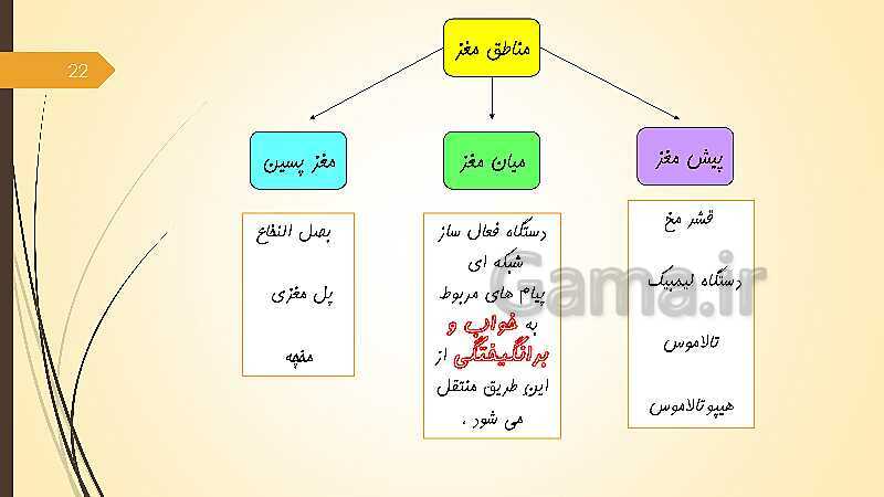 پاورپوینت آموزش مجازی روانشناسی یازدهم رشته انسانی | درس 1: روان شناسی (تعریف و روش مورد مطالعه)- پیش نمایش