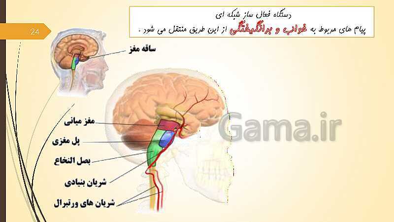 پاورپوینت آموزش مجازی روانشناسی یازدهم رشته انسانی | درس 1: روان شناسی (تعریف و روش مورد مطالعه)- پیش نمایش