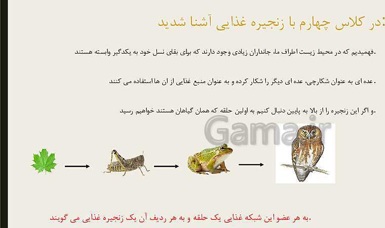 پاورپوینت علوم تجربی ششم دبستان | درس 12: جنگل برای کیست؟- پیش نمایش