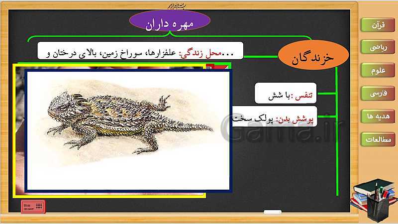 پاورپوینت علوم تجربی سوم دبستان | درس 13: محل زندگی، نوع غذا، تولید مثل خزندگان و پرندگان- پیش نمایش