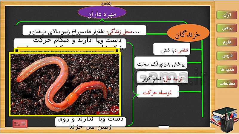 پاورپوینت علوم تجربی سوم دبستان | درس 13: محل زندگی، نوع غذا، تولید مثل خزندگان و پرندگان- پیش نمایش