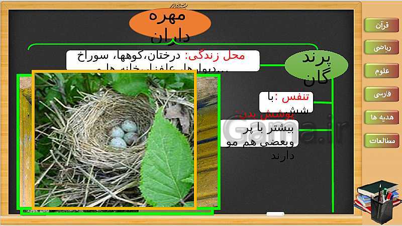 پاورپوینت علوم تجربی سوم دبستان | درس 13: محل زندگی، نوع غذا، تولید مثل خزندگان و پرندگان- پیش نمایش