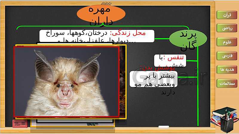 پاورپوینت علوم تجربی سوم دبستان | درس 13: محل زندگی، نوع غذا، تولید مثل خزندگان و پرندگان- پیش نمایش