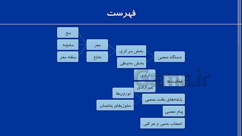 پاورپوینت علوم هشتم  | فصل 4: تنظیم عصبی- پیش نمایش