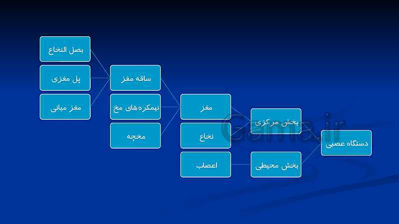 پاورپوینت علوم هشتم  | فصل 4: تنظیم عصبی- پیش نمایش