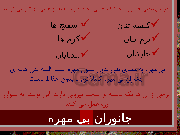 پاورپوینت درس 11 علوم تجربی چهارم دبستان | بی مهره ها- پیش نمایش