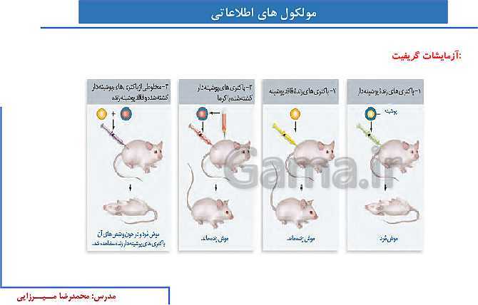 پاورپوینت آموزش صفحه 1 تا 8 زیست شناسی دوازدهم | نوکلئیک اسیدها- پیش نمایش