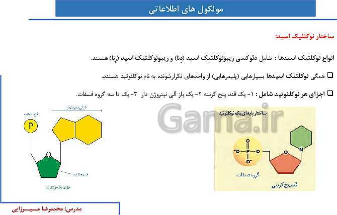 پاورپوینت آموزش صفحه 1 تا 8 زیست شناسی دوازدهم | نوکلئیک اسیدها- پیش نمایش