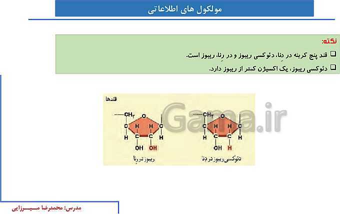 پاورپوینت آموزش صفحه 1 تا 8 زیست شناسی دوازدهم | نوکلئیک اسیدها- پیش نمایش