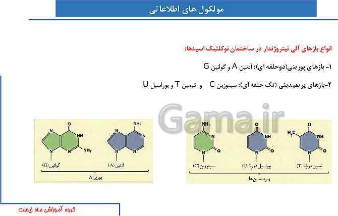 پاورپوینت آموزش صفحه 1 تا 8 زیست شناسی دوازدهم | نوکلئیک اسیدها- پیش نمایش