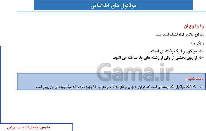 پاورپوینت آموزش صفحه 1 تا 8 زیست شناسی دوازدهم | نوکلئیک اسیدها- پیش نمایش