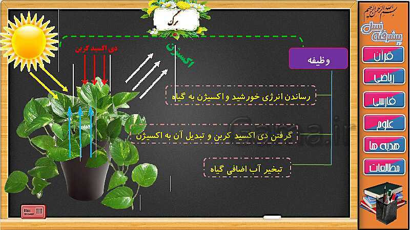 پاورپوینت علوم تجربی سوم دبستان | درس 11: بکارید و ببینید (جلسه دوم)- پیش نمایش