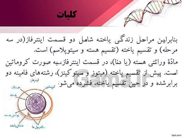 پاورپوینت تدریس زیست شناسی (2) یازدهم تجربی | فصل 6: تقسیم یاخته (گفتار 1: کروموزوم)- پیش نمایش