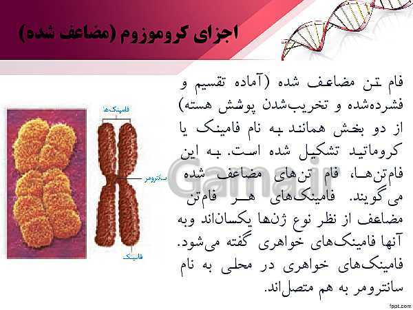 پاورپوینت تدریس زیست شناسی (2) یازدهم تجربی | فصل 6: تقسیم یاخته (گفتار 1: کروموزوم)- پیش نمایش