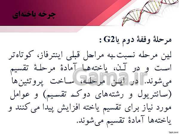 پاورپوینت تدریس زیست شناسی (2) یازدهم تجربی | فصل 6: تقسیم یاخته (گفتار 1: کروموزوم)- پیش نمایش