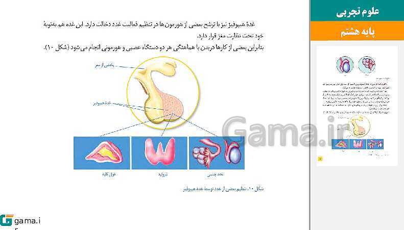 پاورپوینت کتاب محور ویژه تدریس مجازی علوم تجربی هشتم | فصل 1 تا 15- پیش نمایش