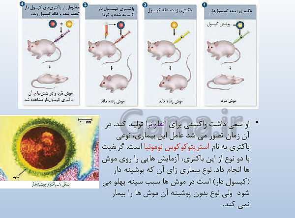 پاورپوینت زیست شناسی دوازدهم تجربی | فصل 1: مولکول‌های اطلاعاتی- پیش نمایش