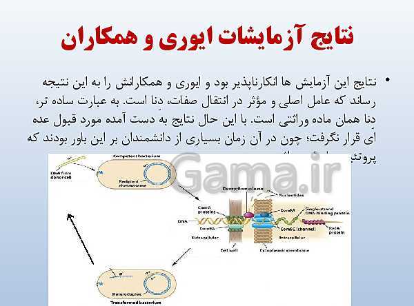 پاورپوینت زیست شناسی دوازدهم تجربی | فصل 1: مولکول‌های اطلاعاتی- پیش نمایش