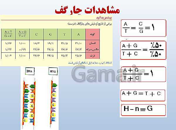 پاورپوینت زیست شناسی دوازدهم تجربی | فصل 1: مولکول‌های اطلاعاتی- پیش نمایش