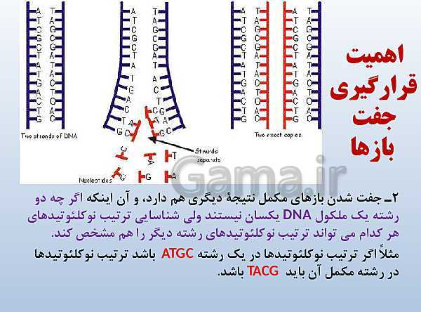 پاورپوینت زیست شناسی دوازدهم تجربی | فصل 1: مولکول‌های اطلاعاتی- پیش نمایش