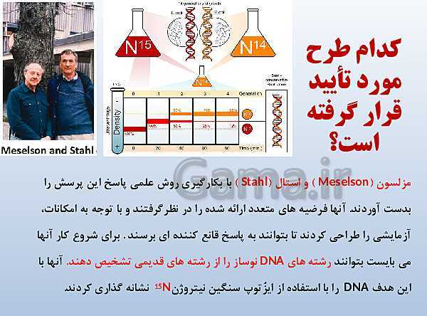 پاورپوینت زیست شناسی دوازدهم تجربی | فصل 1: مولکول‌های اطلاعاتی- پیش نمایش