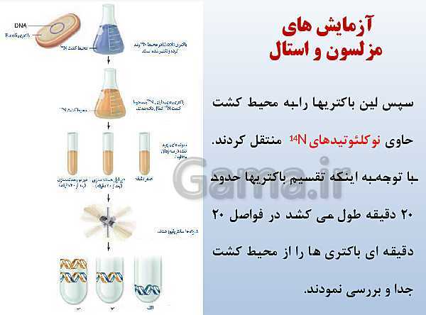 پاورپوینت زیست شناسی دوازدهم تجربی | فصل 1: مولکول‌های اطلاعاتی- پیش نمایش