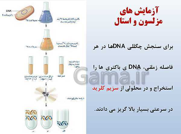 پاورپوینت زیست شناسی دوازدهم تجربی | فصل 1: مولکول‌های اطلاعاتی- پیش نمایش