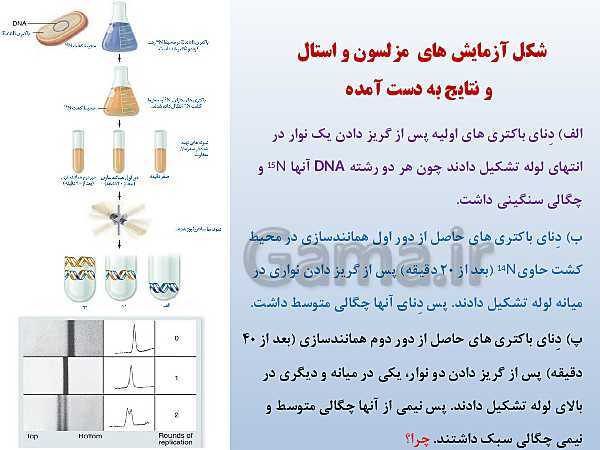 پاورپوینت زیست شناسی دوازدهم تجربی | فصل 1: مولکول‌های اطلاعاتی- پیش نمایش