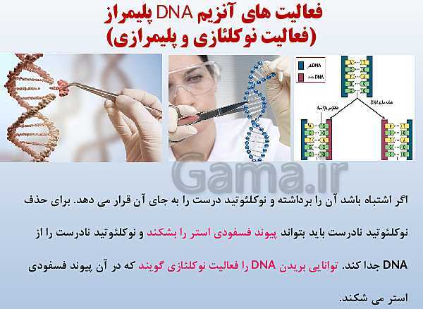 پاورپوینت زیست شناسی دوازدهم تجربی | فصل 1: مولکول‌های اطلاعاتی- پیش نمایش