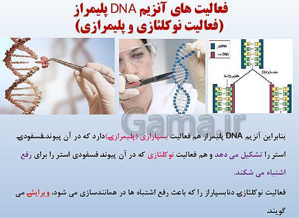 پاورپوینت زیست شناسی دوازدهم تجربی | فصل 1: مولکول‌های اطلاعاتی- پیش نمایش