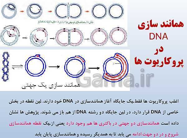 پاورپوینت زیست شناسی دوازدهم تجربی | فصل 1: مولکول‌های اطلاعاتی- پیش نمایش